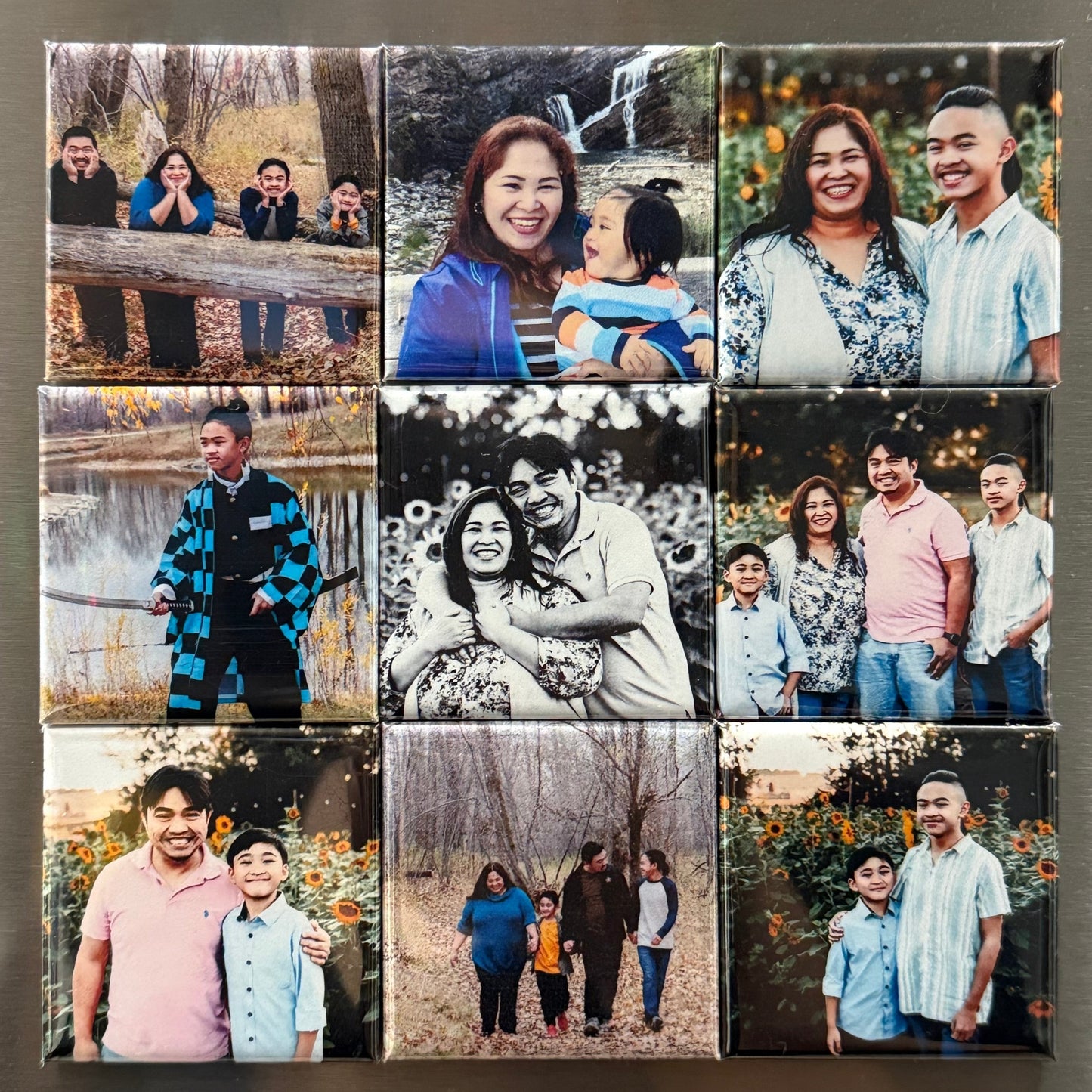 2x2 Picture Magnets  (9 photos)