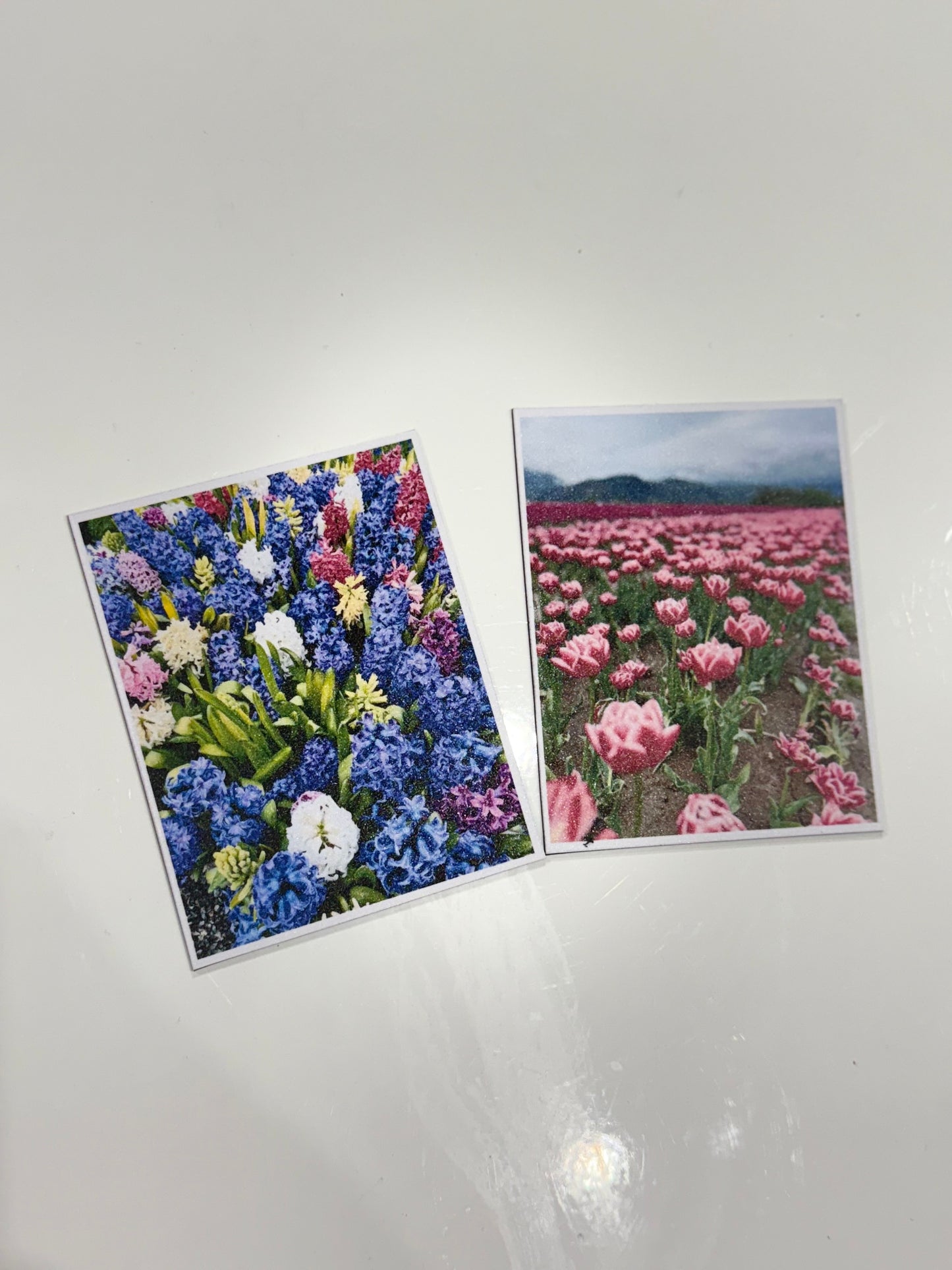 Vinyl Photo Magnets 2.75x3.5 (12 photos)