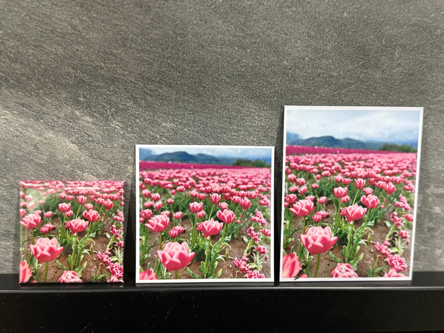 Vinyl Photo Magnets 2.75x2.75 (12 photos)