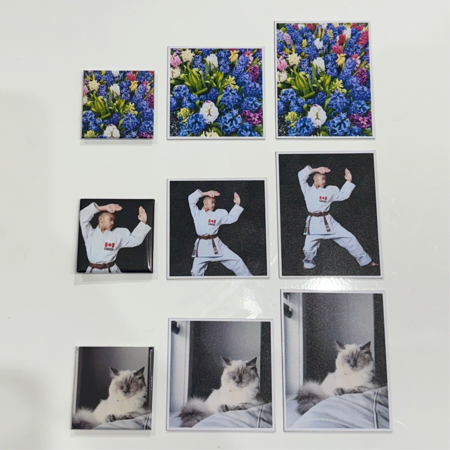 Vinyl Photo Magnets 2.75x3.5 (12 photos)