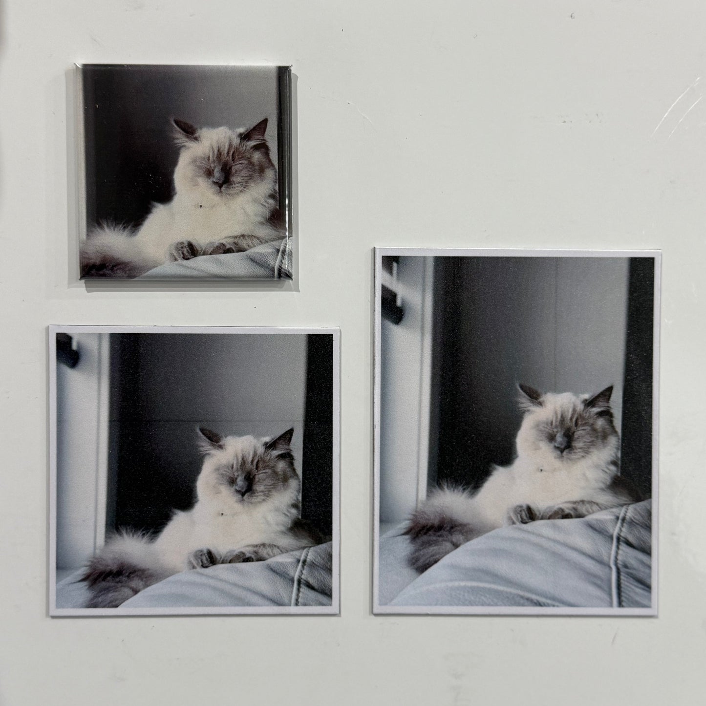 2x2 Picture Magnets  (9 photos)